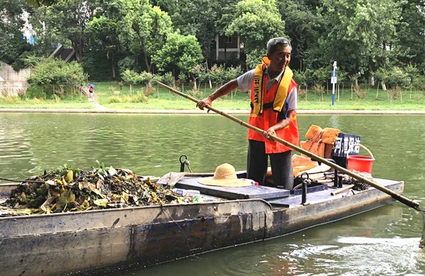 市政工程-河道水质治理案例